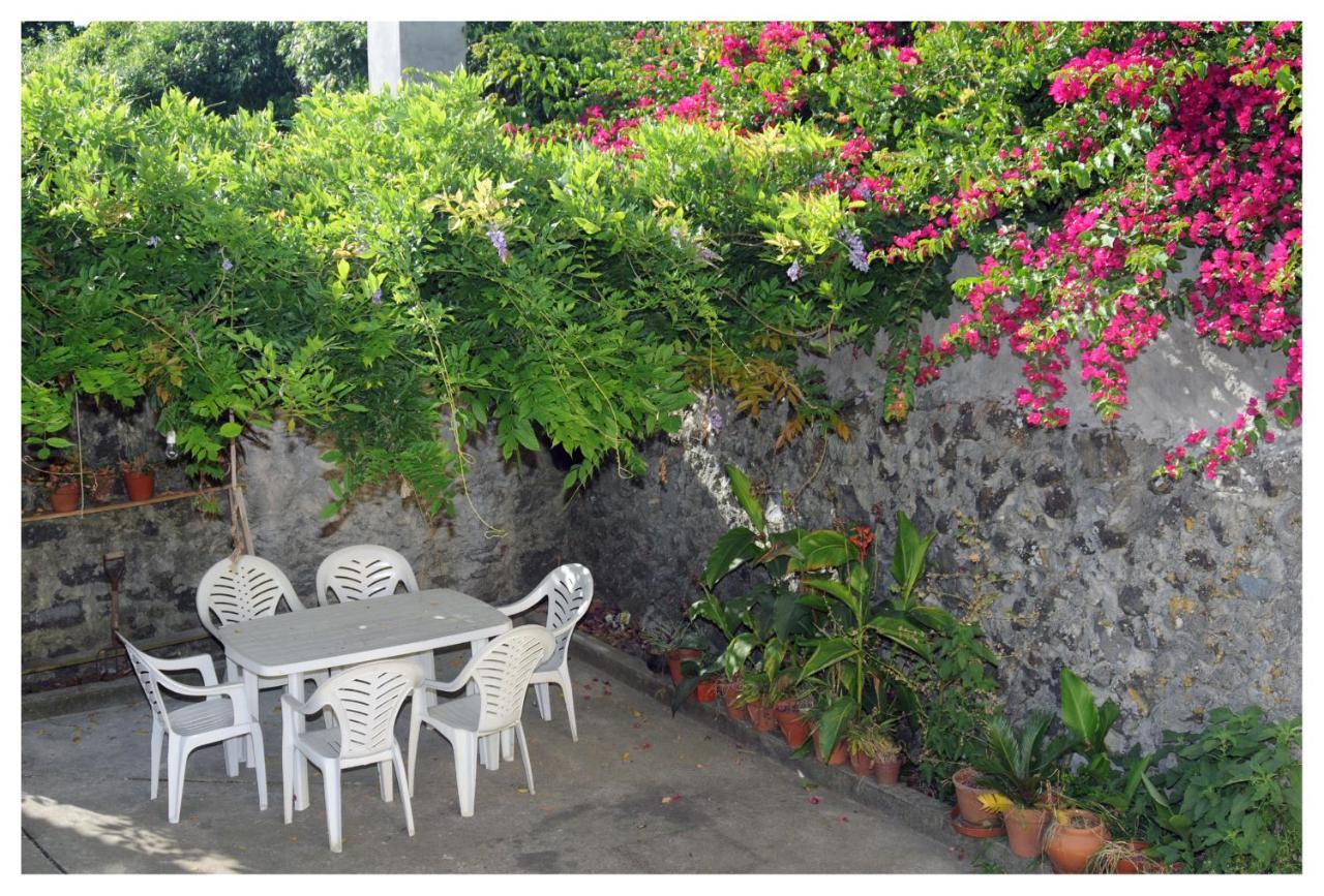 Casa Com Quinta Tradicional Villa Pico da Pedra Bagian luar foto